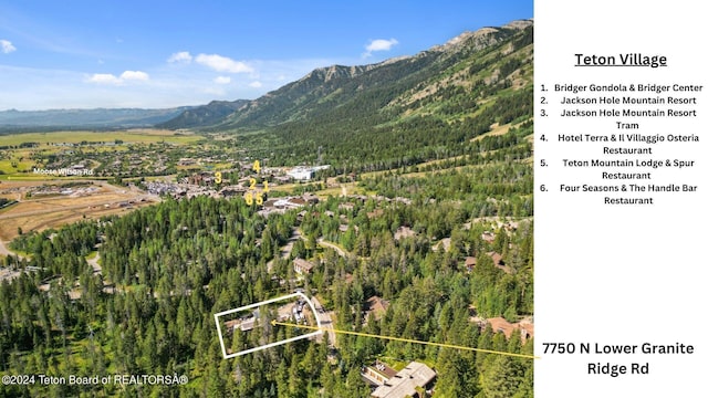7750 N Lower Granite Ridge Rd, Teton Village, WY 83025 - mountain view featuring a heavily wooded area