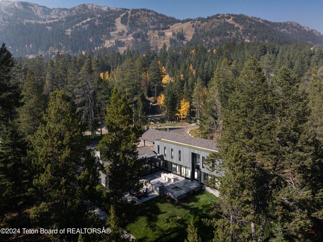 7750 N Lower Granite Ridge Rd, Teton Village, WY 83025 - view of mountain background featuring a heavily wooded area
