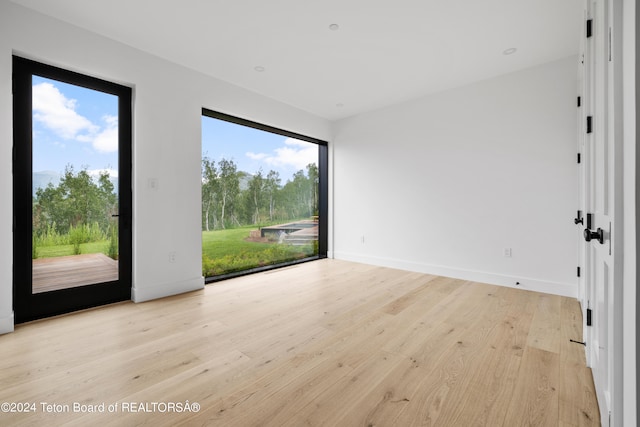 unfurnished room featuring light hardwood / wood-style floors