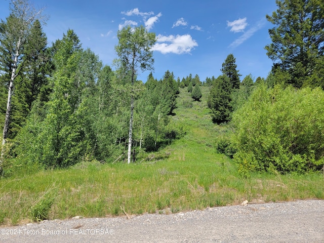 L58B4 Cutthroat Run, Irwin ID, 83428 land for sale