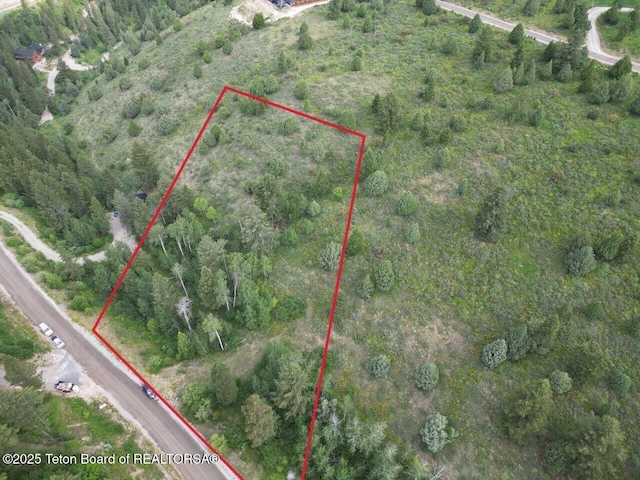 L58B4 Cutthroat Run, Irwin, ID 83428 - photo 2
