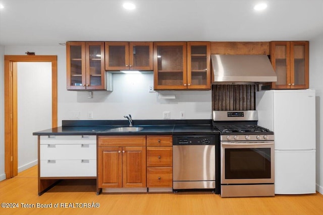 kitchen with light hardwood / wood-style floors, sink, stainless steel appliances, and range hood