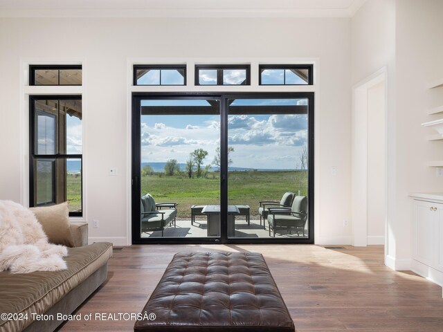 doorway featuring hardwood / wood-style flooring and crown molding