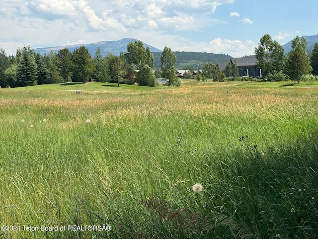 37 Hastings Dr, Victor ID, 83455 land for sale