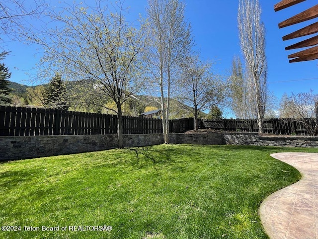 view of yard featuring a fenced backyard