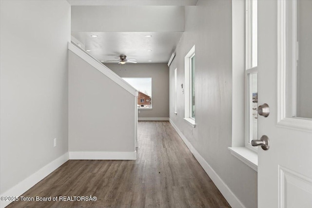 foyer entrance with dark hardwood / wood-style floors and ceiling fan