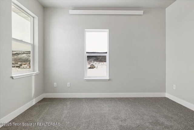 spare room with carpet and a wealth of natural light