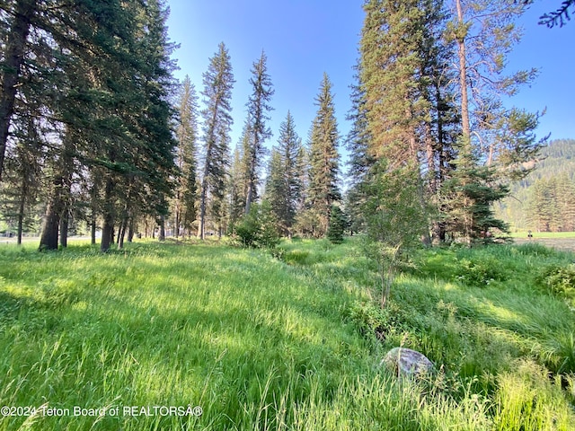 15465 Wagon Rd, Jackson WY, 83001 land for sale