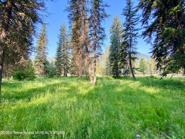 Listing photo 2 for 15465 Wagon Rd, Jackson WY 83001