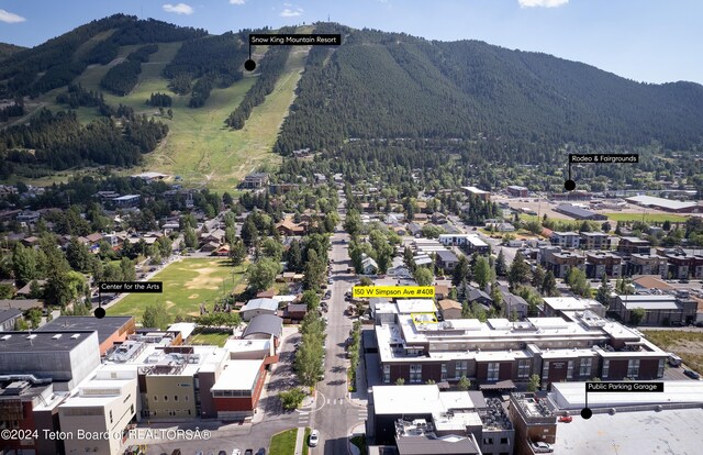 birds eye view of property featuring a mountain view