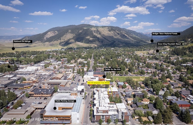 birds eye view of property with a mountain view