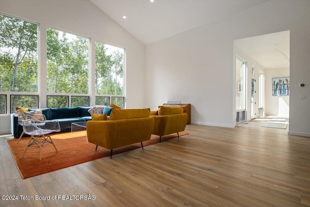 living room featuring high vaulted ceiling and hardwood / wood-style floors