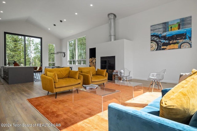 living room featuring wood-type flooring and high vaulted ceiling