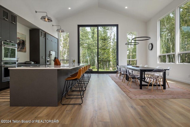 kitchen featuring lofted ceiling, hardwood / wood-style floors, and plenty of natural light