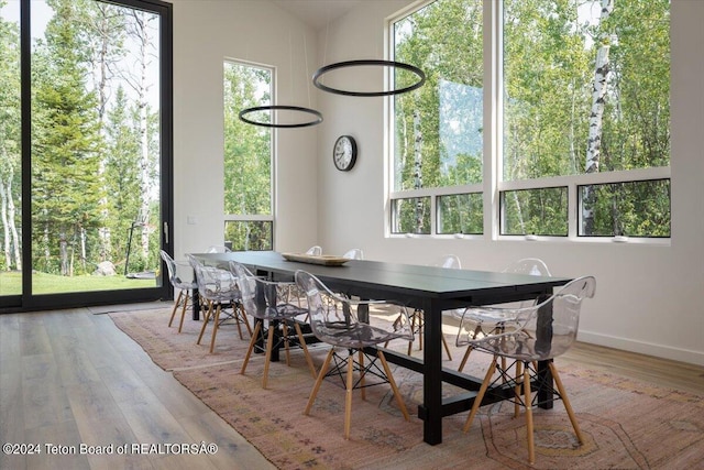 unfurnished dining area featuring hardwood / wood-style flooring