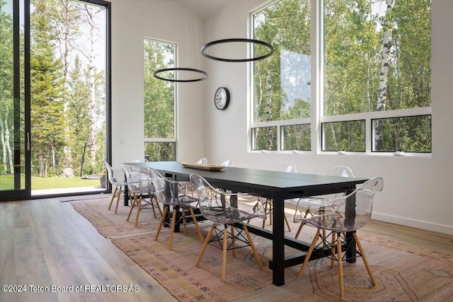 dining room featuring hardwood / wood-style floors