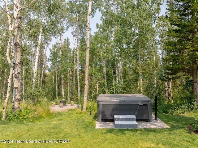 view of yard with a hot tub