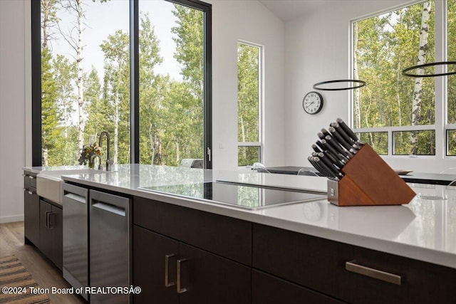 kitchen with stovetop, hardwood / wood-style flooring, and dark brown cabinetry