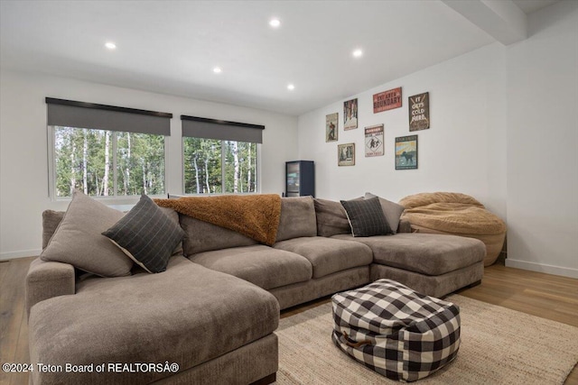 living room featuring light wood-type flooring