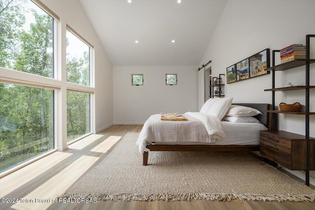 bedroom with light hardwood / wood-style flooring, multiple windows, and high vaulted ceiling