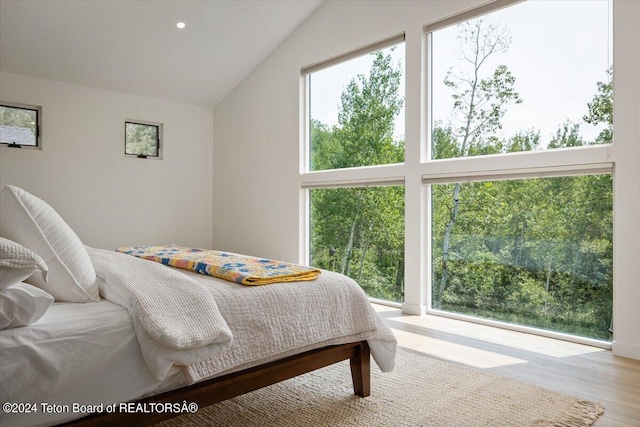 bedroom with light hardwood / wood-style flooring and lofted ceiling