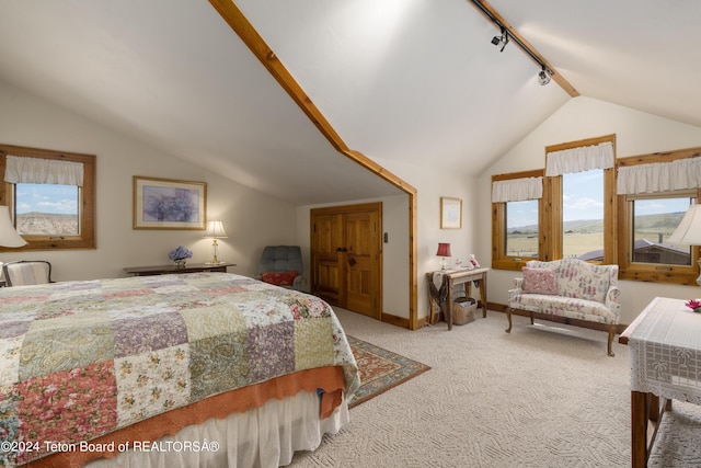 14 Table Top Dr, Dubois, WY 82513 - bedroom featuring rail lighting, vaulted ceiling, light carpet, and baseboards