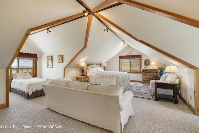 14 Table Top Dr, Dubois, WY 82513 - bedroom featuring carpet floors, vaulted ceiling, track lighting, and baseboards