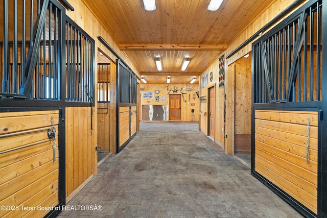14 Table Top Dr, Dubois, WY 82513 - view of stable