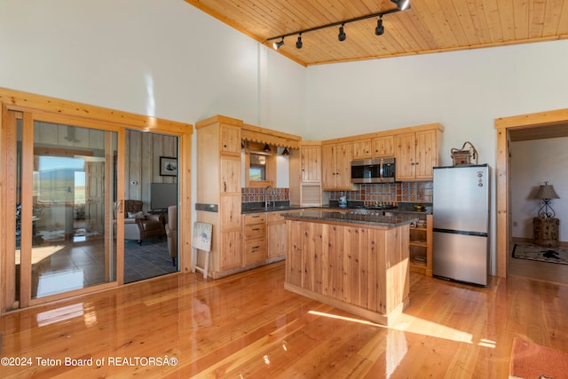 kitchen with appliances with stainless steel finishes, backsplash, rail lighting, light wood-type flooring, and high vaulted ceiling