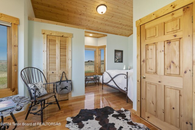 28 Table Top Dr, Dubois, WY 82513 - sitting room featuring plenty of natural light, lofted ceiling, light wood-style flooring, wood ceiling, and baseboards