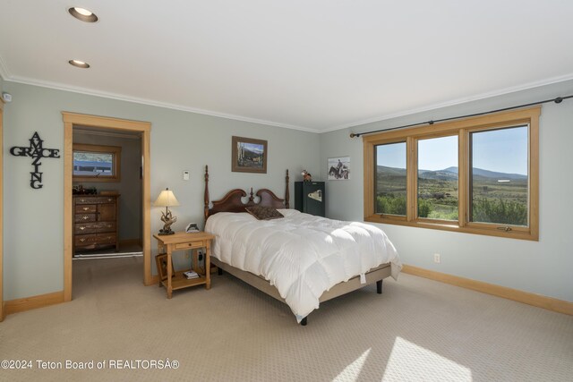 34 Table Top Dr, Dubois, WY 82513