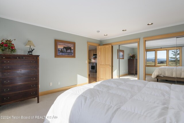 34 Table Top Dr, Dubois, WY 82513