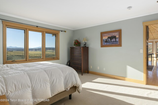 34 Table Top Dr, Dubois, WY 82513