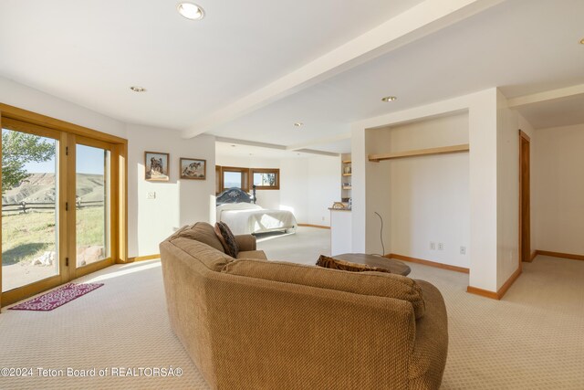 34 Table Top Dr, Dubois, WY 82513
