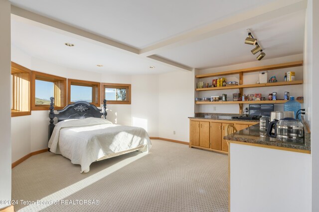 34 Table Top Dr, Dubois, WY 82513