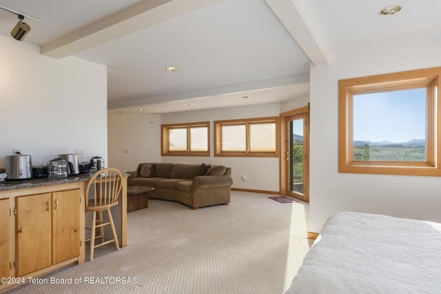 34 Table Top Dr, Dubois, WY 82513