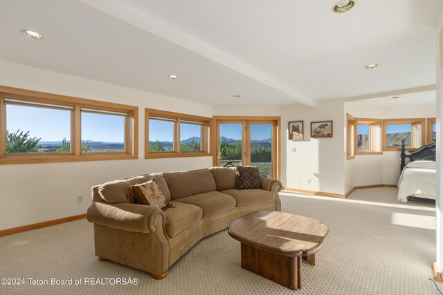 34 Table Top Dr, Dubois, WY 82513