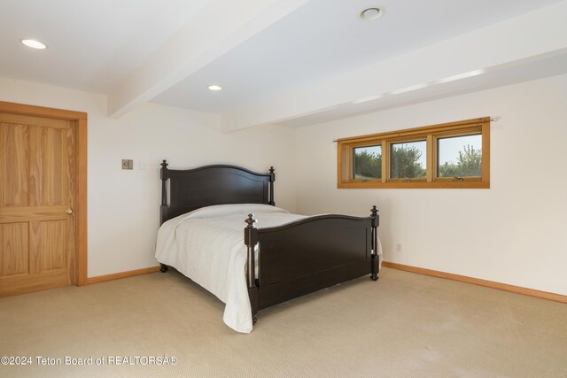 34 Table Top Dr, Dubois, WY 82513