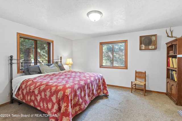 bedroom with multiple windows, light carpet, and a textured ceiling