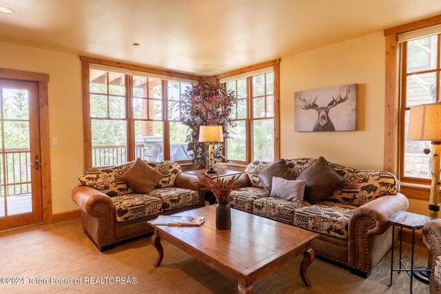 living room with a healthy amount of sunlight