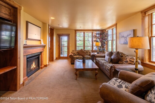 living room with carpet flooring