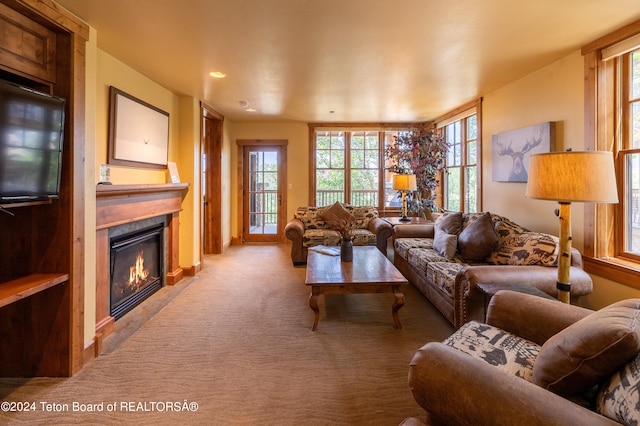 living room featuring carpet flooring and a wealth of natural light