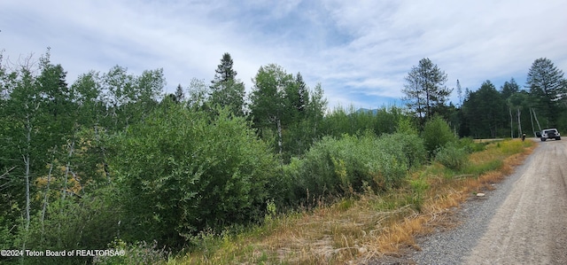 Listing photo 2 for LOT59B4 Cuttroat Run, Irwin ID 83428