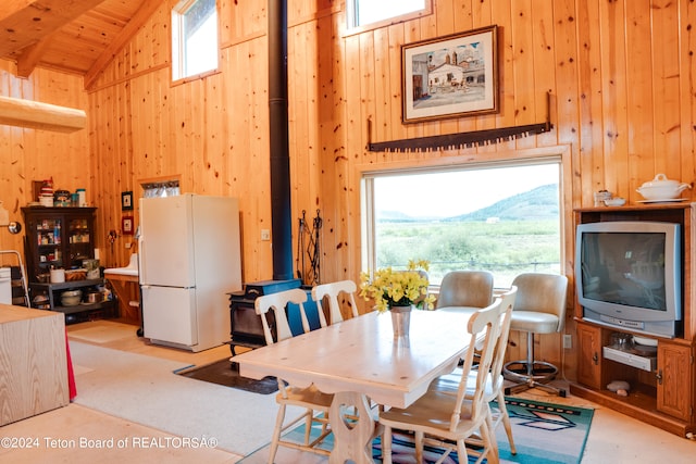 carpeted dining room with wood walls, a wood stove, and a healthy amount of sunlight