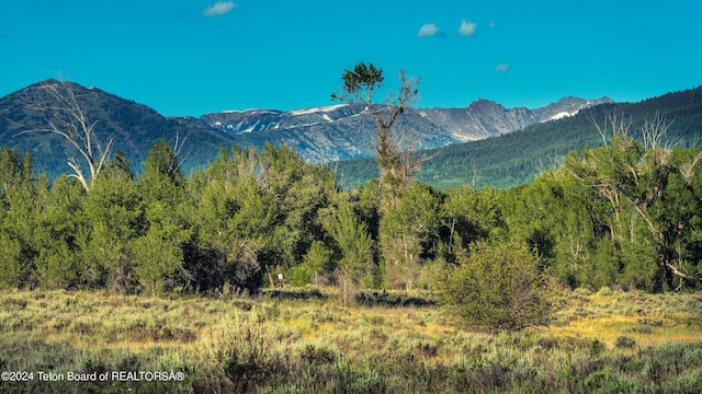 TBD Ski Hill Rd, Driggs, ID 83422