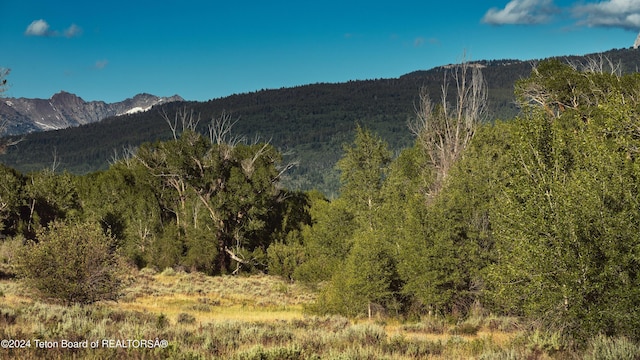 TBD Ski Hill Rd, Driggs, ID 83422