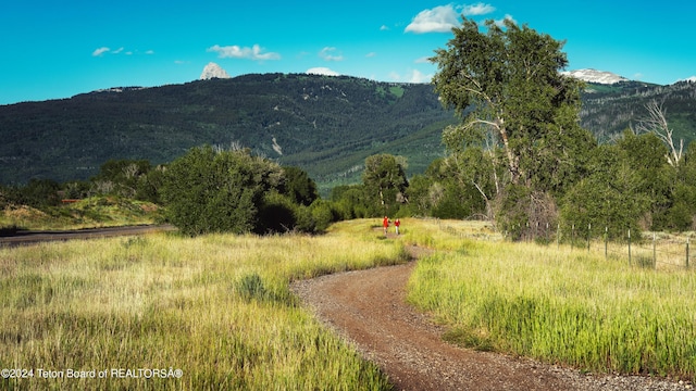 TBD Ski Hill Rd, Driggs, ID 83422