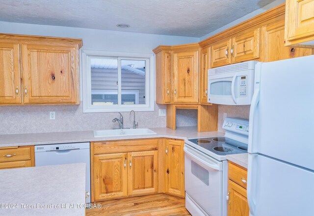 kitchen with light hardwood / wood-style flooring, white appliances, a textured ceiling, and sink