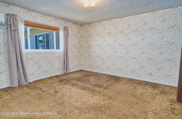 spare room featuring a textured ceiling and carpet flooring