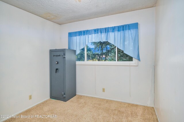 empty room with a textured ceiling and light colored carpet